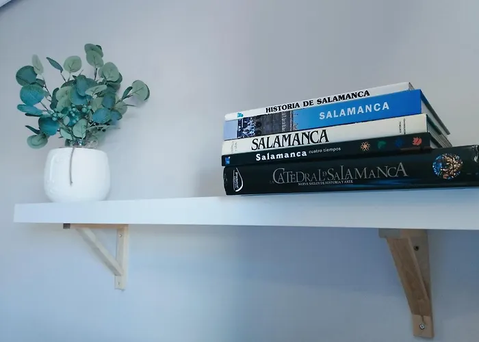 Appartamento Premium Plaza Mayor